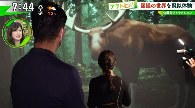 News about Experience-type attractions have evolved to this level!